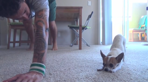 Yoga Time with a Cute Chihuahua